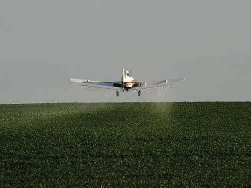 spraying